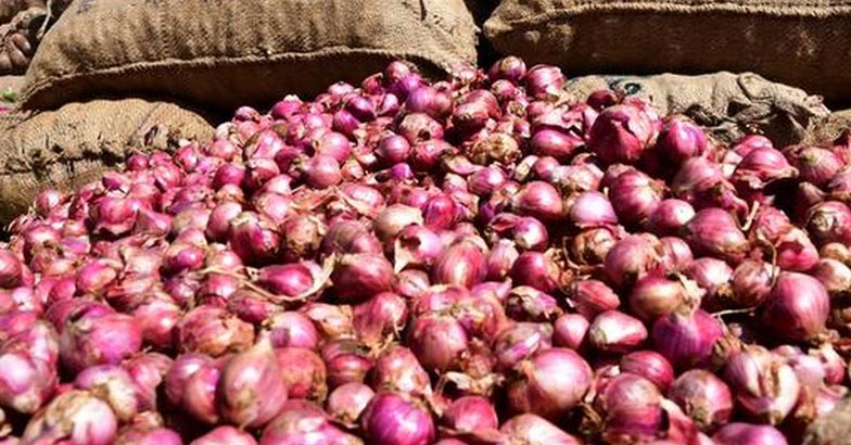 Small Onion | Bignewslive