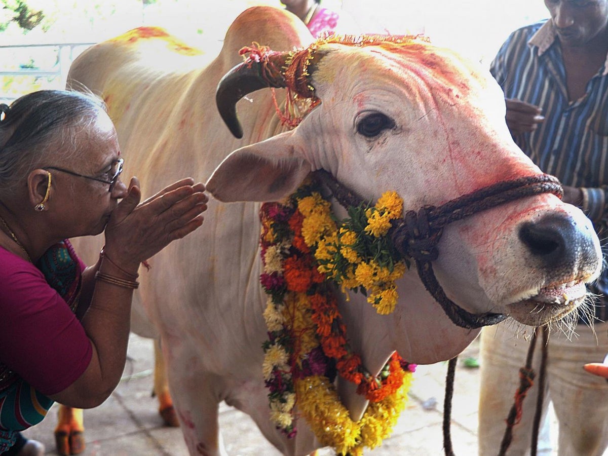 gau pooja 12